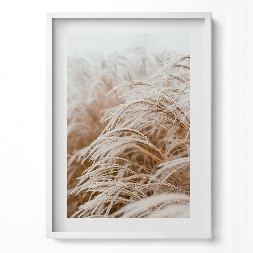 Függőleges kép keretben Száraz fű harmatos reggel