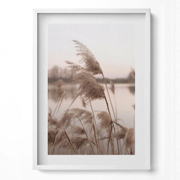 Függőleges kép keretben Növények a vízparton