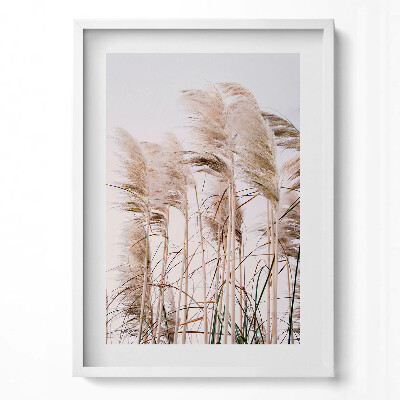 Függőleges kép keretben Pampafű csokrok fehér háttérrel