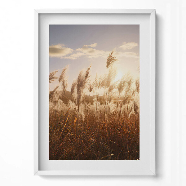 Függőleges kép keretben Naplemente és nádas