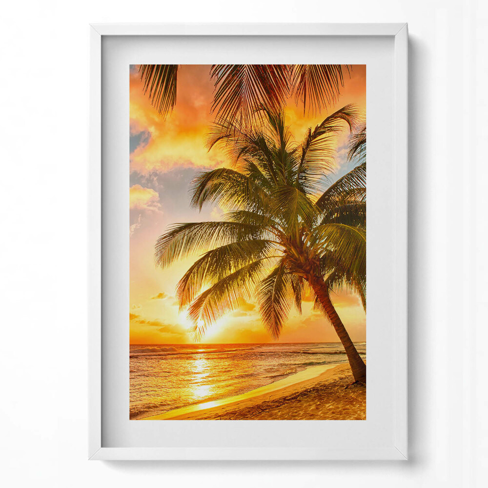 Függőleges kép keretben Naplemente pálmafával a tengerparton