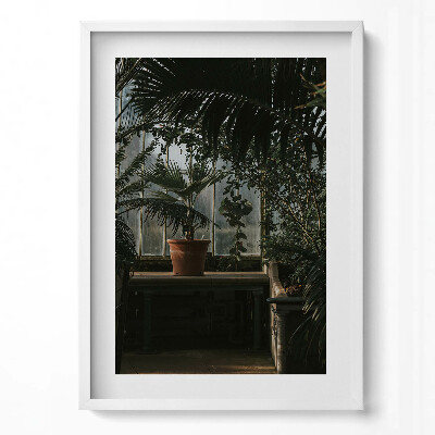 Függőleges kép keretben Zöld növények virágcserép világos háttér