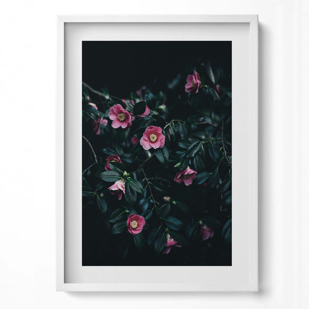 Függőleges kép keretben Rózsaszín virágok sötét háttérben