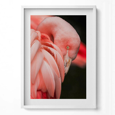 Függőleges kép keretben Rózsaszín flamingó tollazata