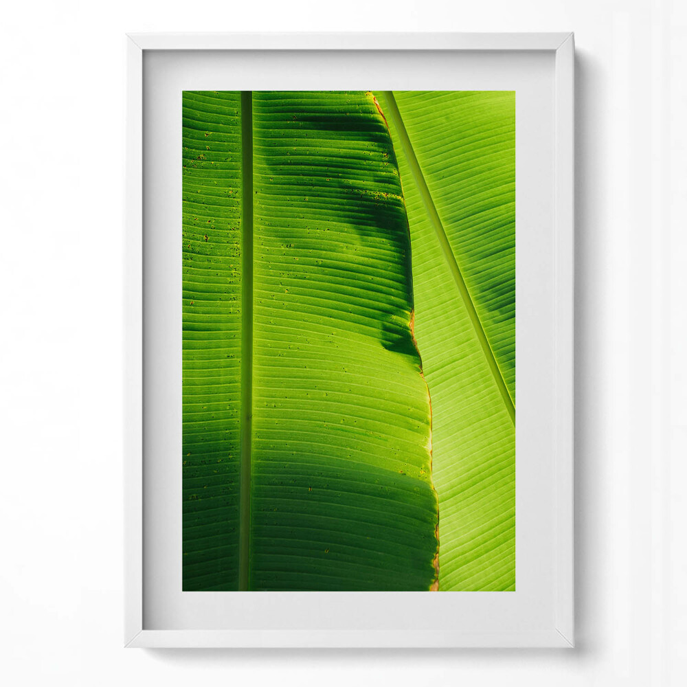 Függőleges kép keretben Zöld banánlevél részlete