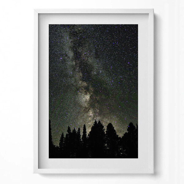 Függőleges kép keretben Csillagos égbolt erdősilhuettel
