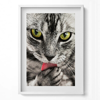 Függőleges kép keretben Fekete-fehér macska zöld szemek