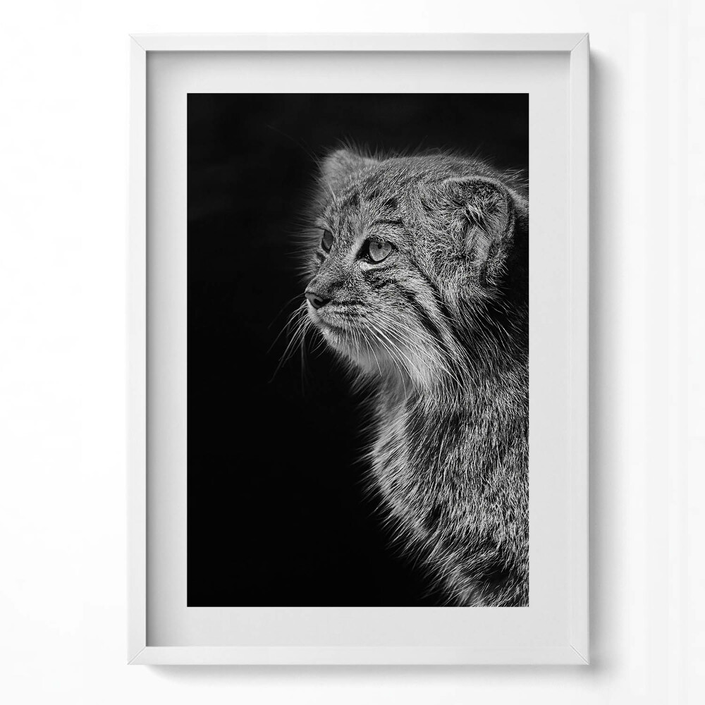 Függőleges kép keretben Macskaféle állat portréja