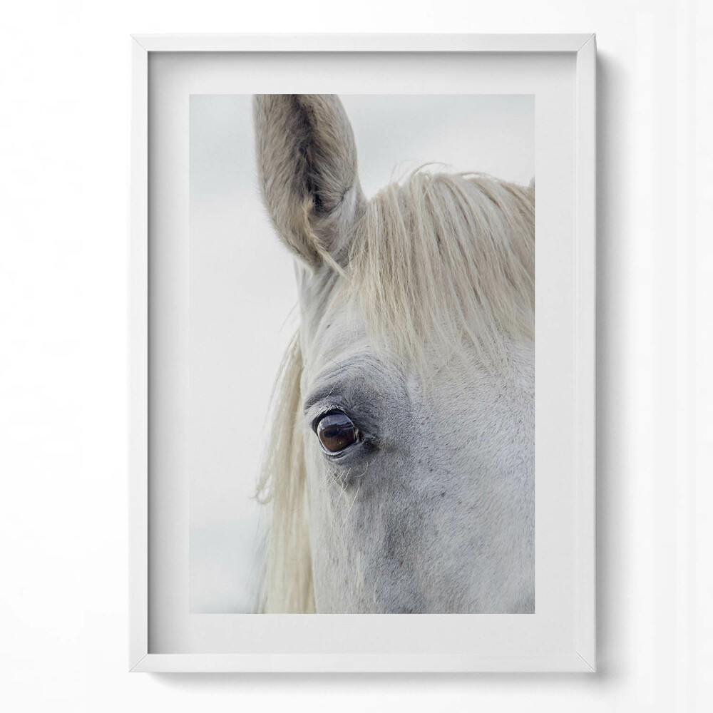 Függőleges kép keretben Fehér ló szeme és fül
