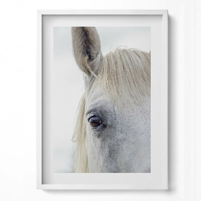Függőleges kép keretben Fehér ló szeme és fül