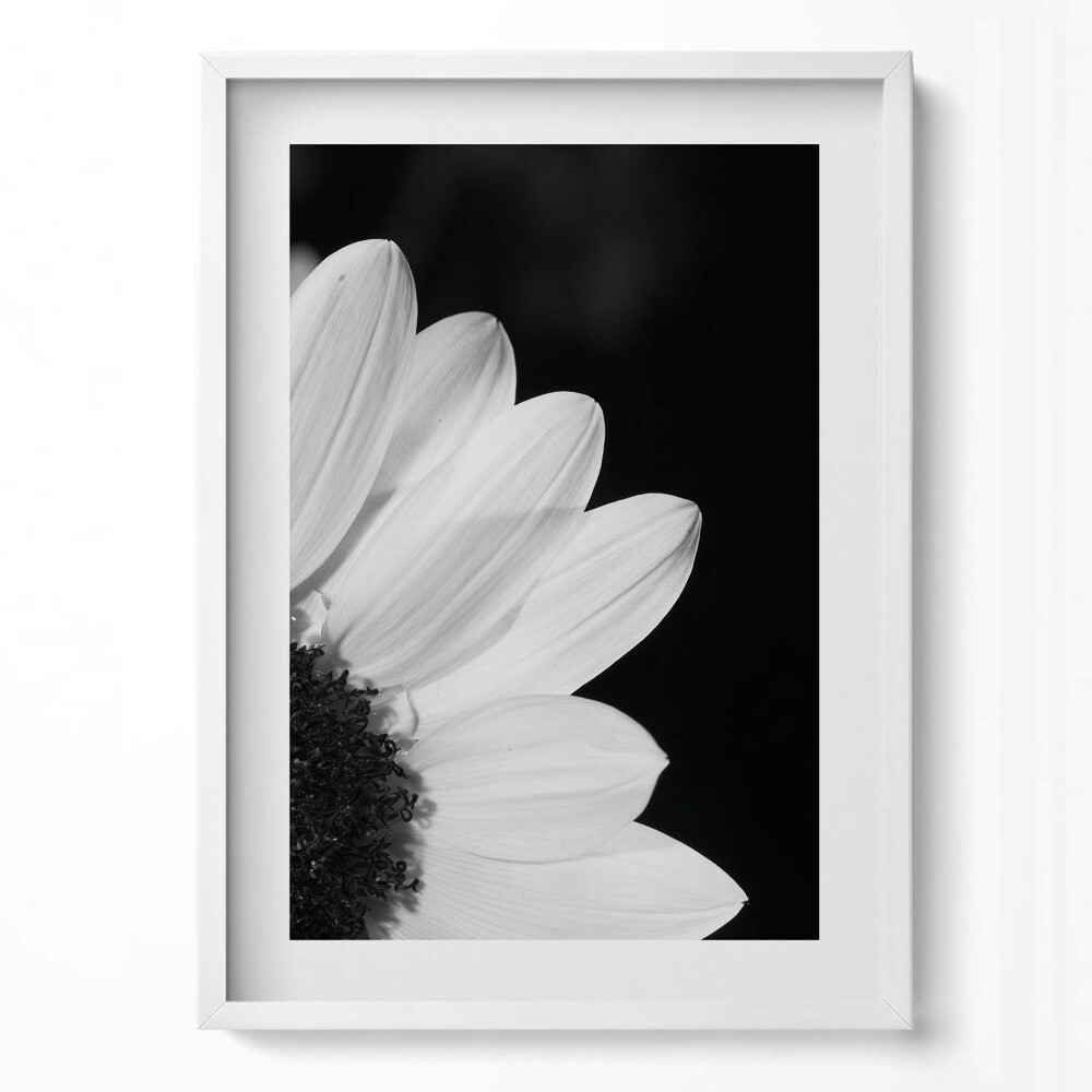 Függőleges kép keretben Fehér virágszirom részlete
