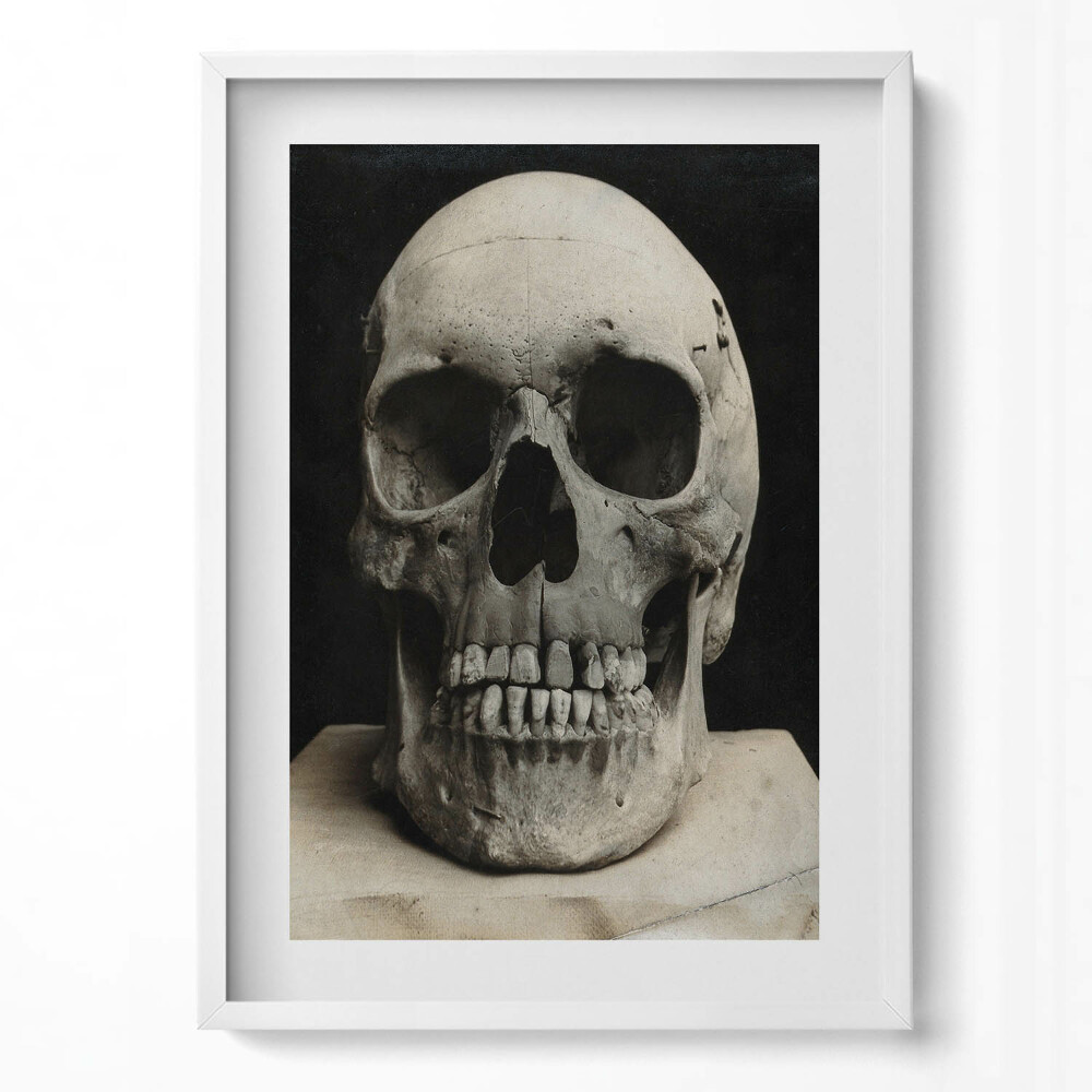 Függőleges kép keretben Emberi koponya