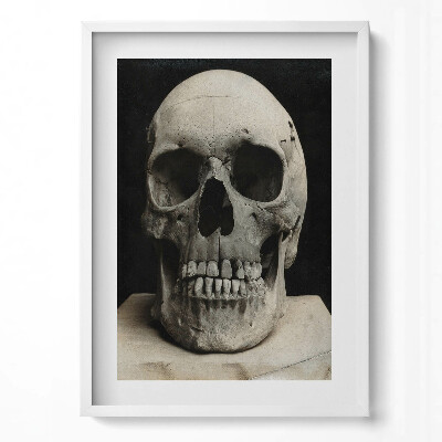 Függőleges kép keretben Emberi koponya