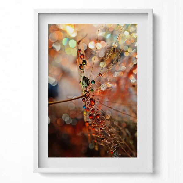 Függőleges kép keretben Cseppes növényi részlet színes háttér