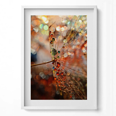 Függőleges kép keretben Cseppes növényi részlet színes háttér