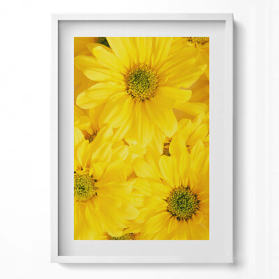 Függőleges kép keretben Sárga virágok közelről