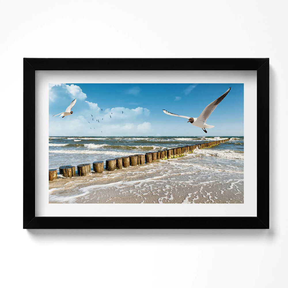 Keretezett kép Madár a tengerparton