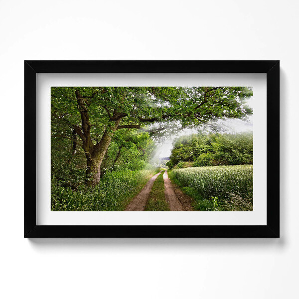 Kép keretben Útvonal, fák és napsütés