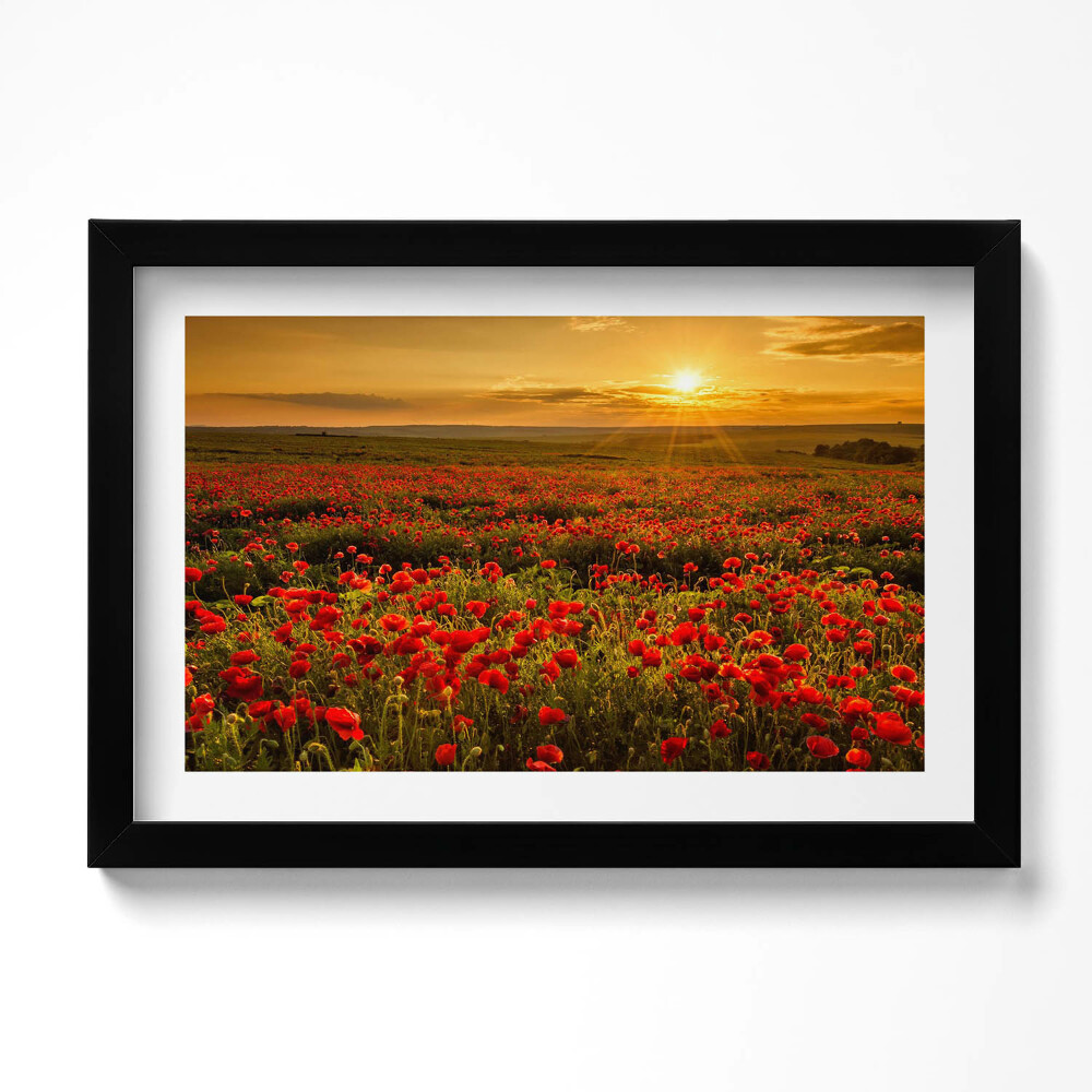 Kép keretben Mákvirágos réti táj