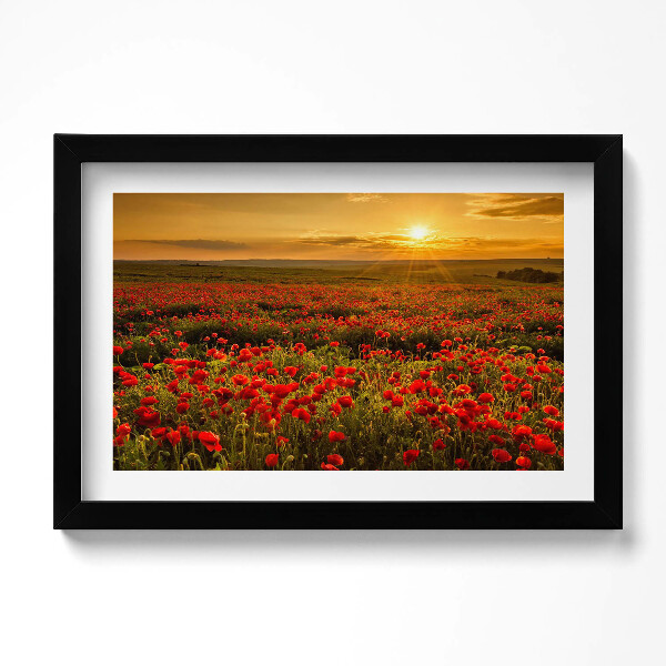 Kép keretben Mákvirágos réti táj