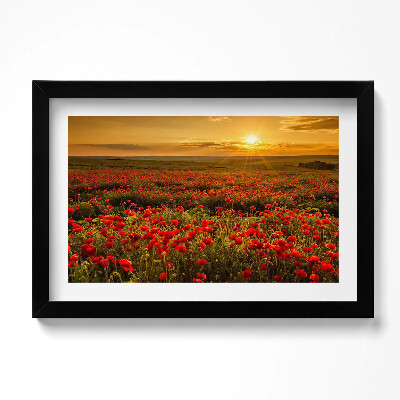 Kép keretben Mákvirágos réti táj
