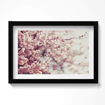 Kép keretben Virágzó tavaszi virágok