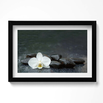 Kép keretben Fehér virág Zen kövek