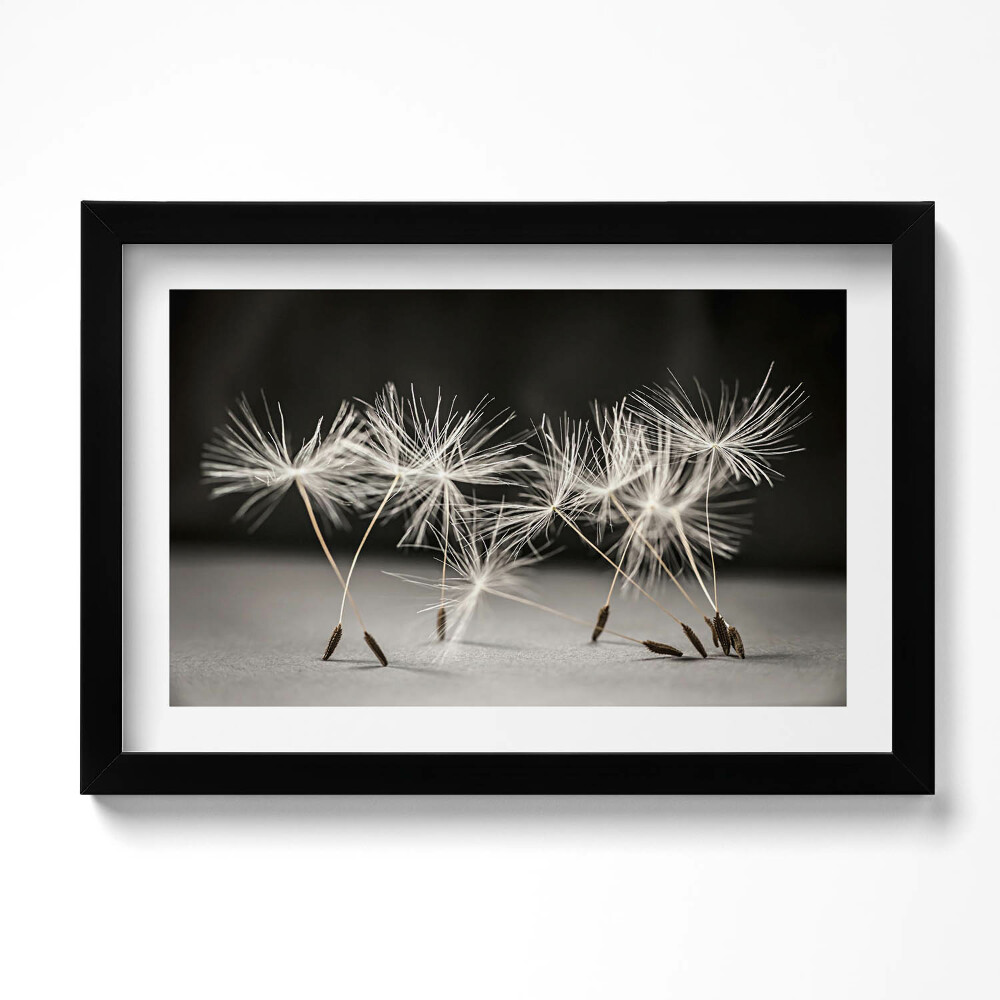 Keretezett kép Finom virágpor egy fúvógépen