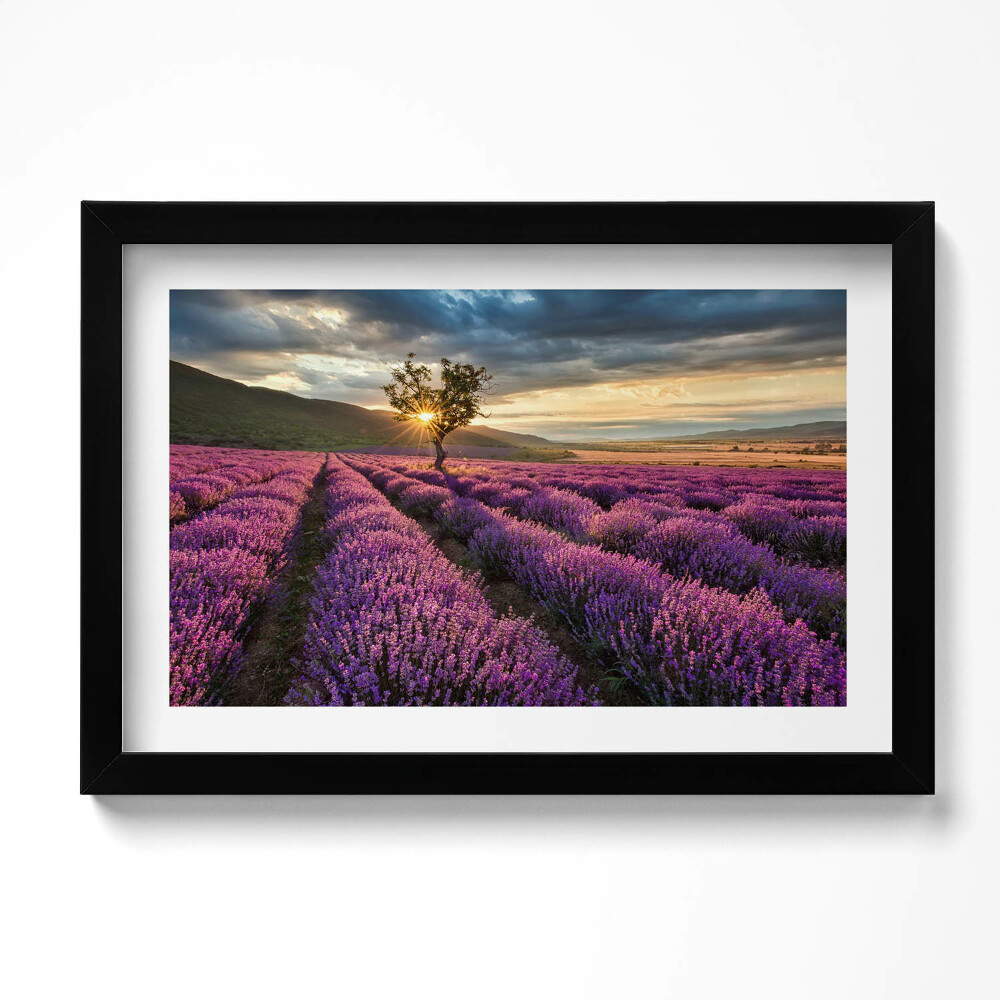 Kép keretben Levendulamező tájképe