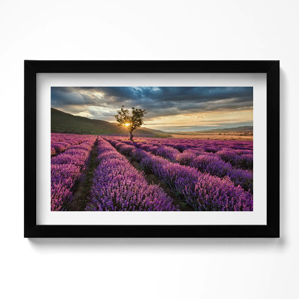 Kép keretben Levendulamező tájképe