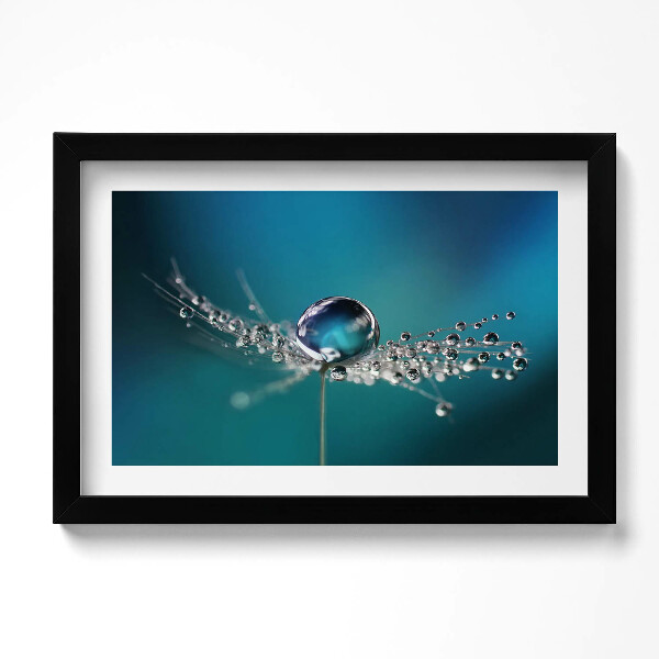 Kép keretben Harmatcseppek on a dandelion