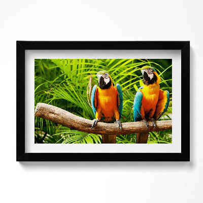 Kép keretben Két színes ara papagáj a dzsungelben