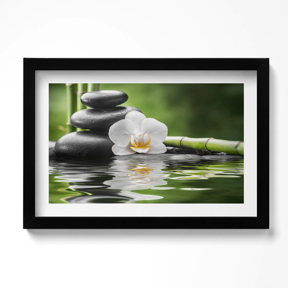 Keretezett kép Zen - kövek bambusz és virág a vízen