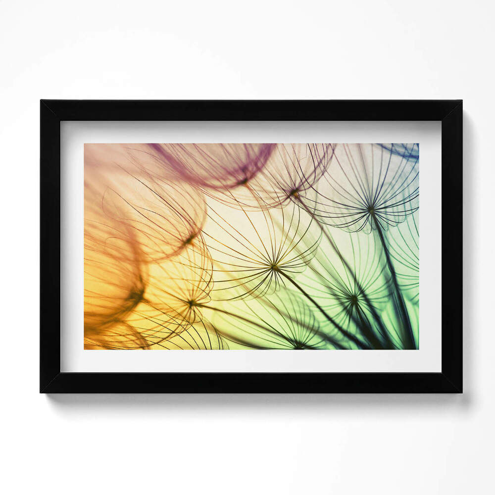 Kép keretben Finom pollenfújó