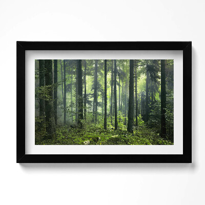 Kép keretben Tájkép fákkal és erdei növényzettel