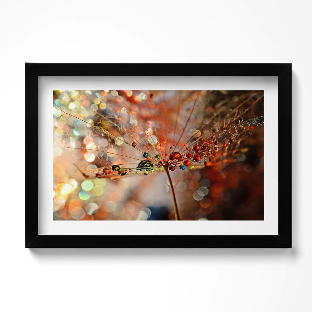 Kép keretben Felfújható légy és harmat