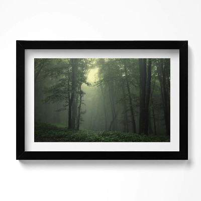 Kép keretben Ködös erdő reggel