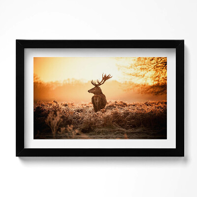 Keretezett kép Szarvasok napfelkeltekor