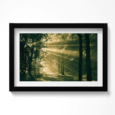 Kép keretben Napfény az erdőben