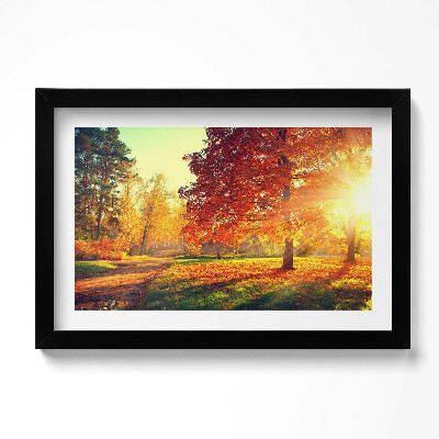 Kép keretben Őszi park