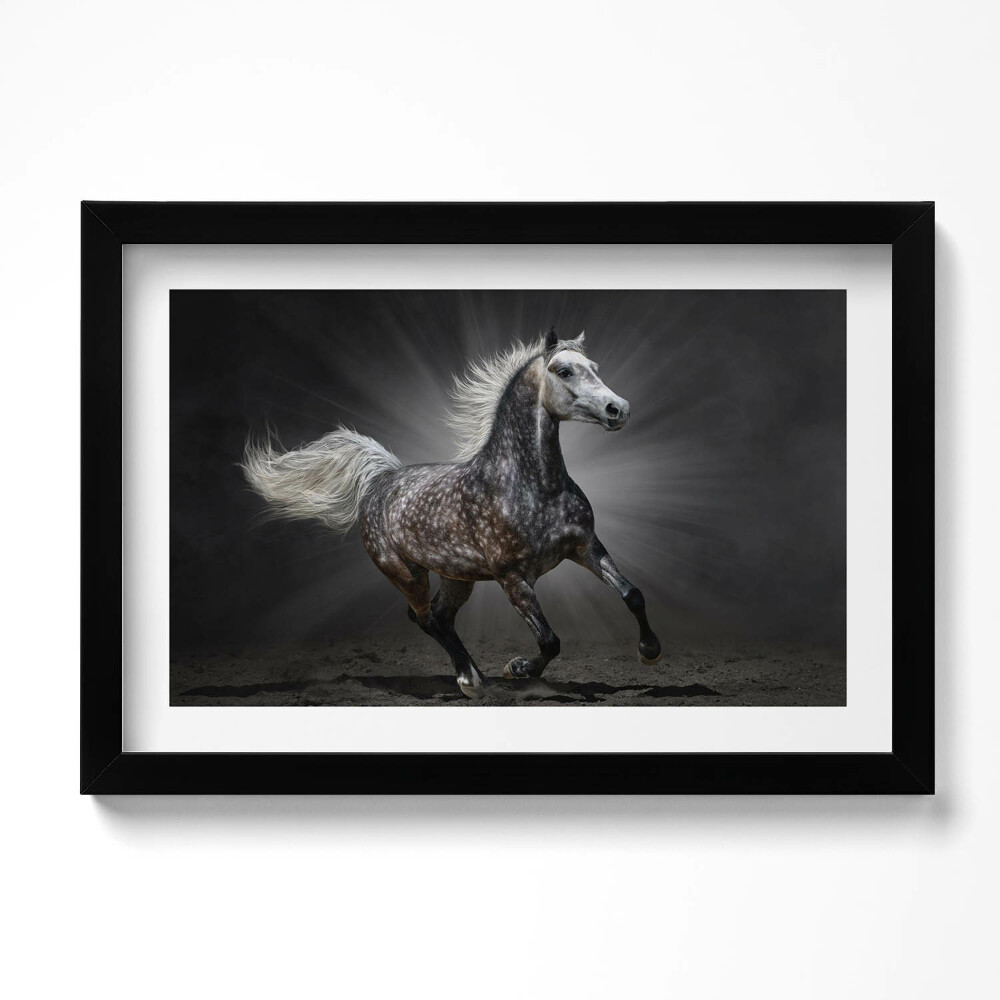 Kép keretben Galoppozó ló