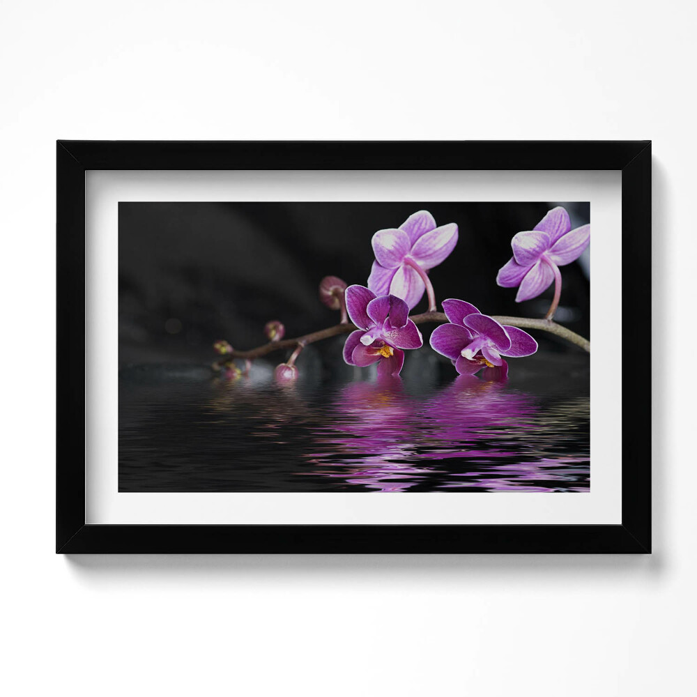 Kép keretben Rózsaszín orchidea virág a vízen