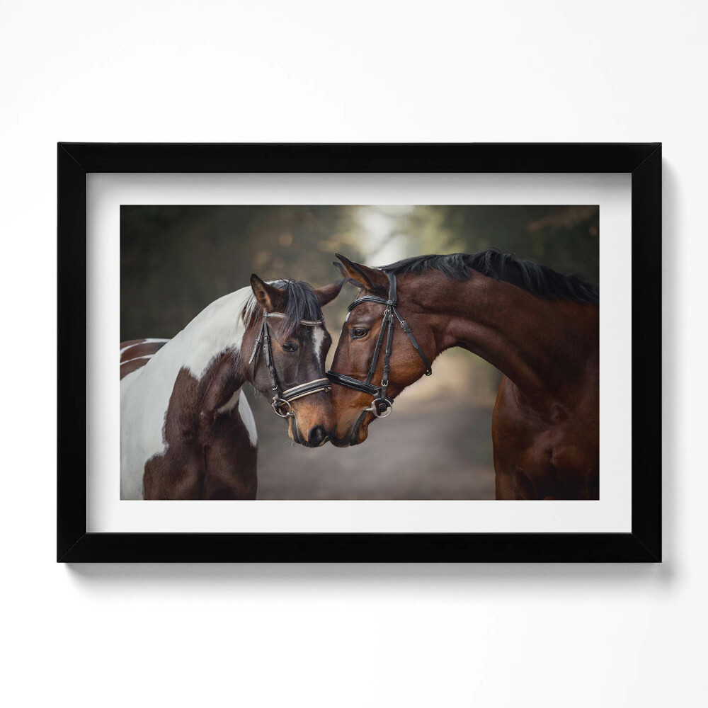 Keretezett kép Portrait of horses in the forest