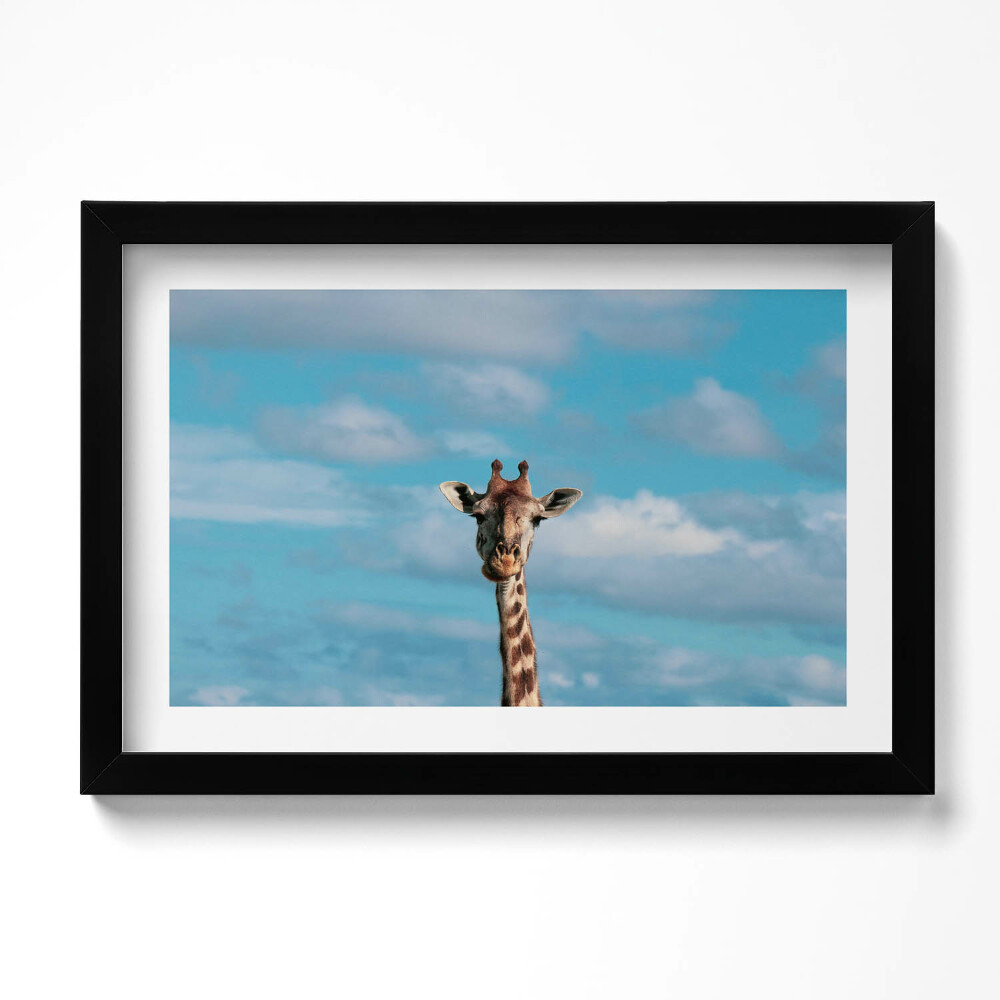 Kép keretben Zsiráffej az égbolton
