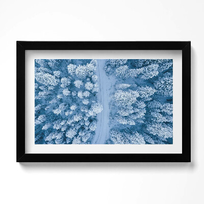 Keretezett kép Erdő madártávlatból Drón