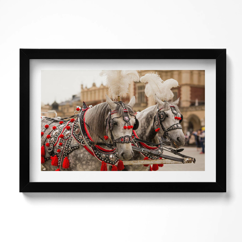 Keretezett kép Gyönyörű lovak Krakkóban