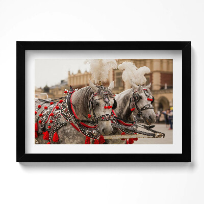 Keretezett kép Gyönyörű lovak Krakkóban