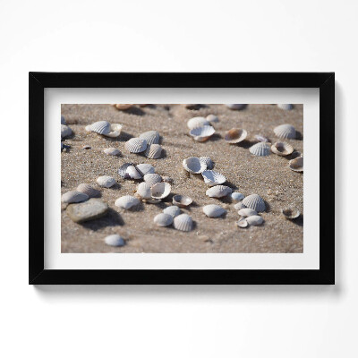 Kép keretben Shells on the beach