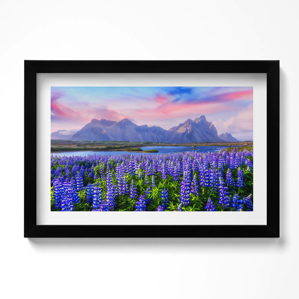 Keretezett kép Levendulamezők - Izland