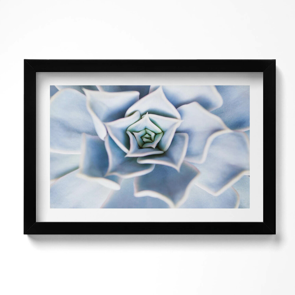 Kép keretben Növény virág